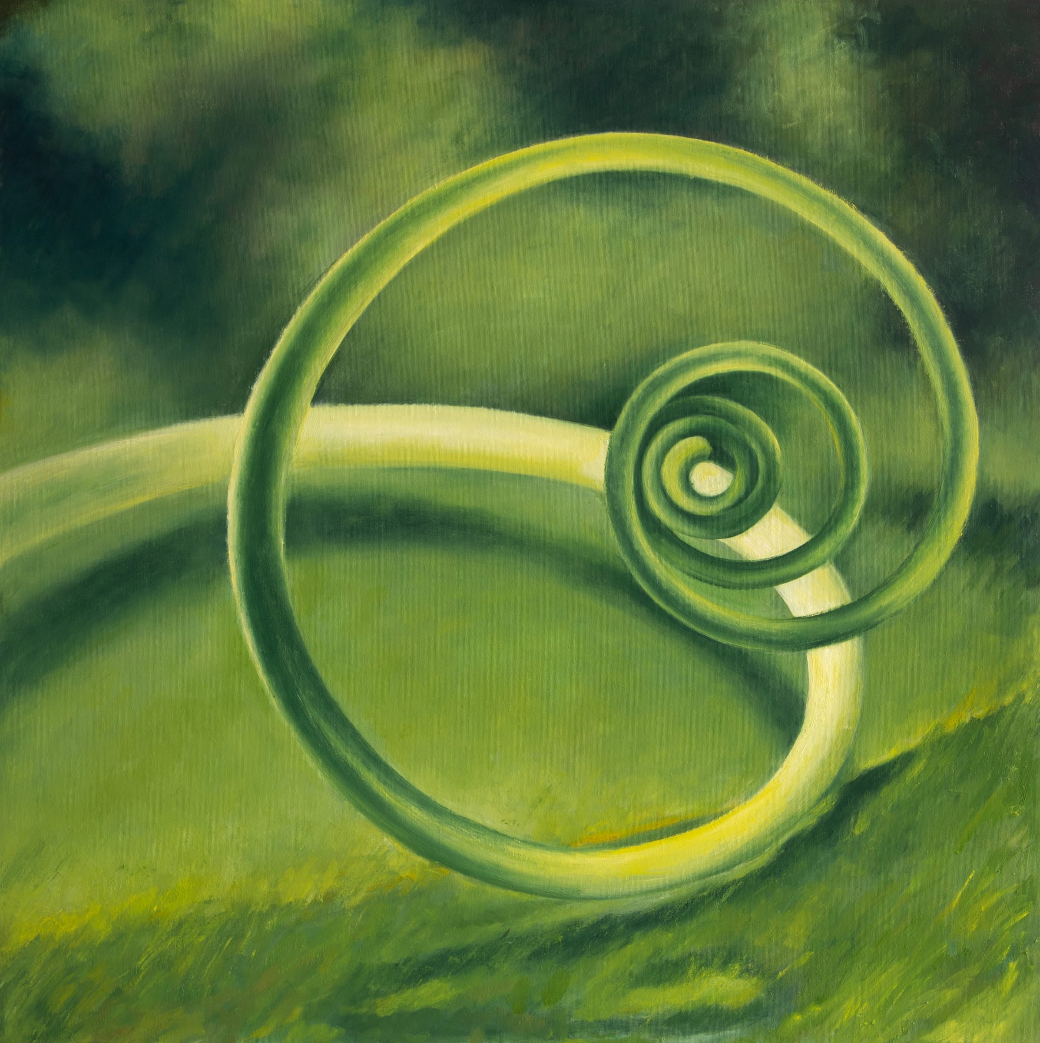Spira Mirabilis